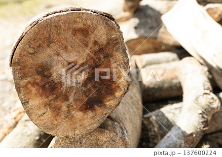 Macro view of stacked firewood logs highlighting wooden texture and rough bark 137600224