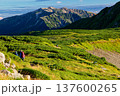 北アルプス・三俣蓮華岳への縦走路を行く登山者と薬師岳の眺め 137600265