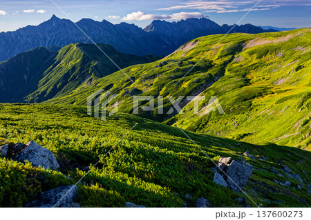 北アルプス・丸山から見る双六岳稜線と槍・穂高連峰 137600273