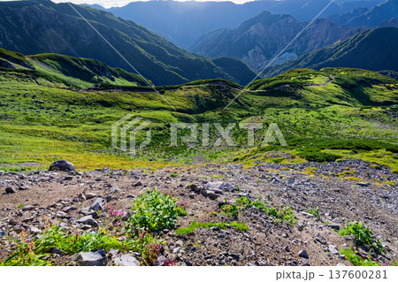 三俣蓮華岳稜線から見るカール内の登山道 137600281