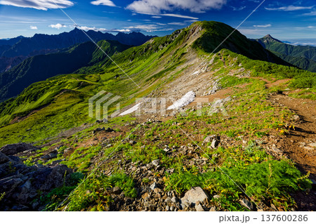 北アルプス・三俣蓮華岳稜線から見る笠ヶ岳と槍・穂高連峰 137600286