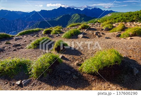北アルプス・三俣蓮華岳から見る夏の槍ヶ岳・穂高岳 137600290