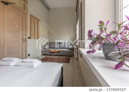 Studio Hotel Room with Sofa Lounge and Double Bed View 137600507