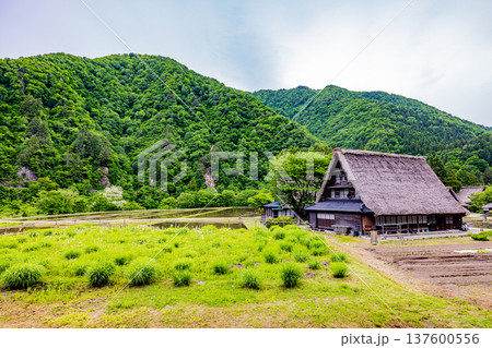 五箇山 菅沼集落の風景 五箇山 菅沼集落の風景 137600556