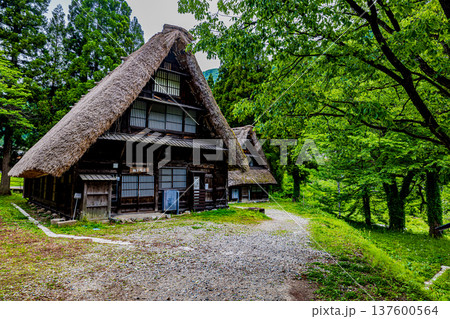 五箇山 菅沼集落の風景 五箇山 菅沼集落の風景 137600564