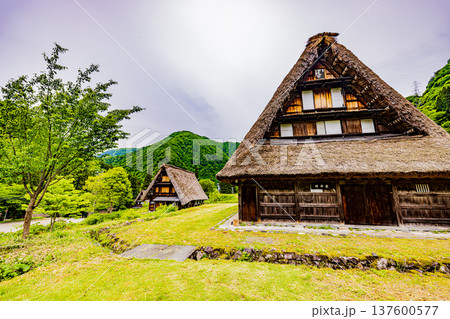 五箇山　菅沼集落の風景 137600577