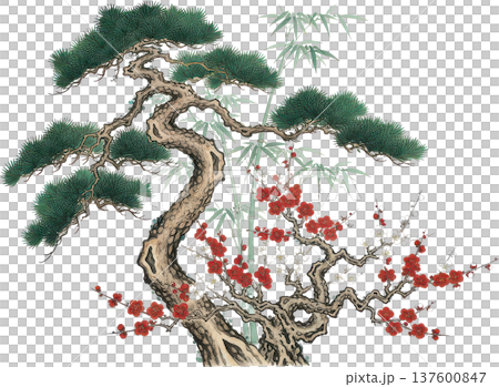 美麗的日本插畫，描繪了松樹、竹子、梅花以及紅白相間的梅花。 137600847