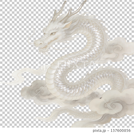 神々しい白龍と瑞雲が舞う幻想的な和風イラスト 神々しい白龍と瑞雲が舞う幻想的な和風イラスト 137600856
