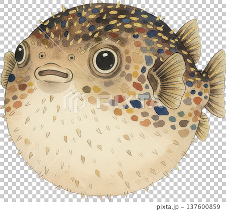 一幅帶有彩色斑點和金色棘刺的河豚插圖 137600859
