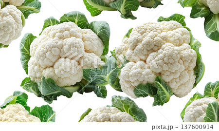 Multiple fresh cauliflower heads with green leaves isolated on a white background, concept of healthy organic vegetables 137600914