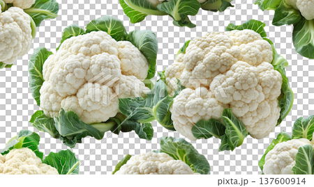 Multiple fresh cauliflower heads with green leaves isolated on a white background, concept of healthy organic vegetables 137600914
