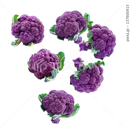 Fresh purple cauliflower heads with green leaves, isolated on white background, concept of healthy organic vegetables Fresh purple cauliflower heads with green leaves, isolated on white background, concept of healthy organic vegetables 137600915