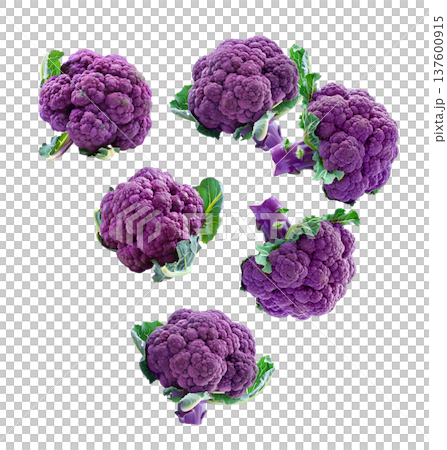 Fresh purple cauliflower heads with green leaves, isolated on white background, concept of healthy organic vegetables Fresh purple cauliflower heads with green leaves, isolated on white background, concept of healthy organic vegetables 137600915