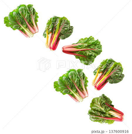 Fresh rainbow Swiss chard leaves with vivid red and yellow stems arranged in a seamless pattern isolated on white background Fresh rainbow Swiss chard leaves with vivid red and yellow stems arranged in a seamless pattern isolated on white background 137600916