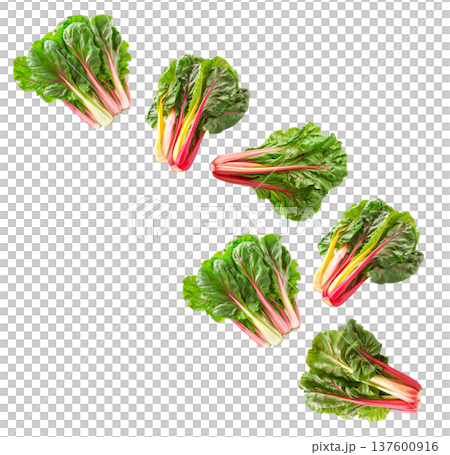 Fresh rainbow Swiss chard leaves with vivid red and yellow stems arranged in a seamless pattern isolated on white background 137600916