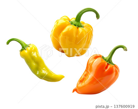 Fresh yellow and orange peppers with a dewy yellow tomato, isolated on white background, concept of healthy organic food Fresh yellow and orange peppers with a dewy yellow tomato, isolated on white background, concept of healthy organic food 137600919