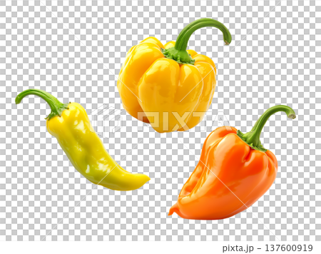 Fresh yellow and orange peppers with a dewy yellow tomato, isolated on white background, concept of healthy organic food Fresh yellow and orange peppers with a dewy yellow tomato, isolated on white background, concept of healthy organic food 137600919