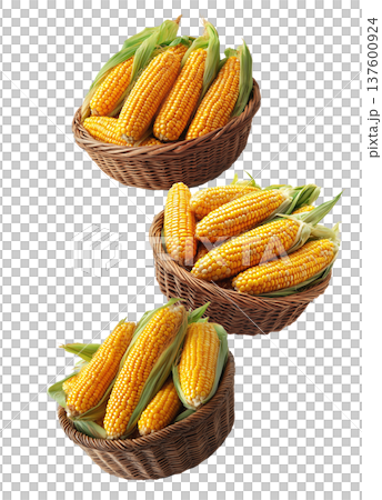 Multiple wicker baskets filled with fresh yellow corn cobs with husks, isolated on white background, concept of harvest abundance Multiple wicker baskets filled with fresh yellow corn cobs with husks, isolated on white background, concept of harvest abundance 137600924