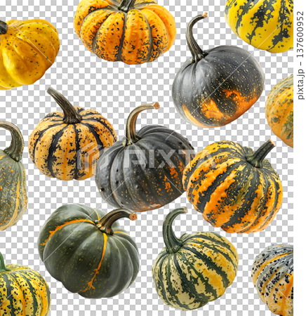 Various decorative gourds and pumpkins in bright yellow, green, and orange tones isolated on a white background, autumn harvest Various decorative gourds and pumpkins in bright yellow, green, and orange tones isolated on a white background, autumn harvest 137600952