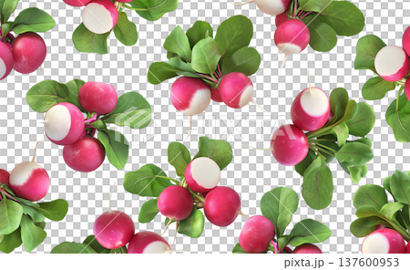 Fresh whole radishes with green leaves scattered and isolated on a white background, realistic style, healthy food concept pattern Fresh whole radishes with green leaves scattered and isolated on a white background, realistic style, healthy food concept pattern 137600953