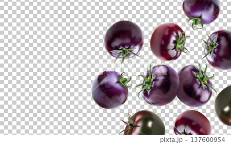 Glossy black tomatoes with red streaks shown isolated on a white background, representing freshness and organic produce 137600954
