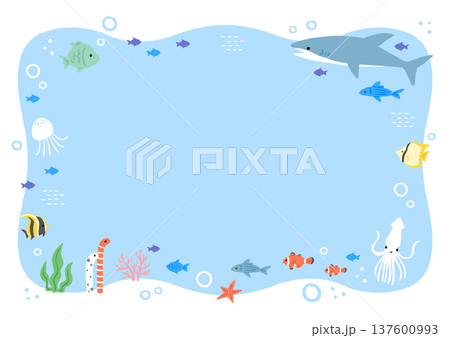 海の生き物のイラスト フレーム 海の生き物のイラスト フレーム 137600993