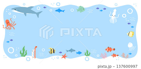 海の生き物のイラスト フレーム 海の生き物のイラスト フレーム 137600997