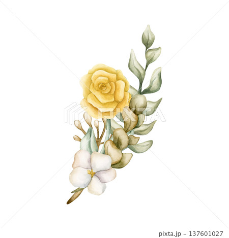 Cute Colourful Meadow Flower Bouquet. Watercolor summer spring bloom floral illustration hand painted isolated on white background for nursery baby kids design fresh prints cards posters textile Cute Colourful Meadow Flower Bouquet. Watercolor summer spring bloom floral illustration hand painted isolated on white background for nursery baby kids design fresh prints cards posters textile 137601027