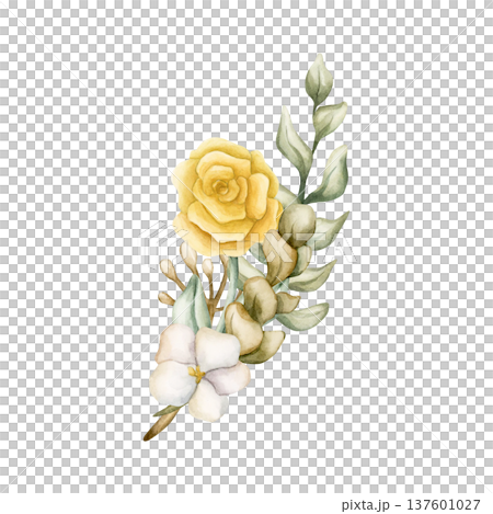 Cute Colourful Meadow Flower Bouquet. Watercolor summer spring bloom floral illustration hand painted isolated on white background for nursery baby kids design fresh prints cards posters textile 137601027