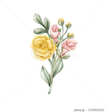 Cute Colourful Meadow Flower Bouquet. Watercolor summer spring bloom floral illustration hand painted isolated on white background for nursery baby kids design fresh prints cards posters textile 137601032