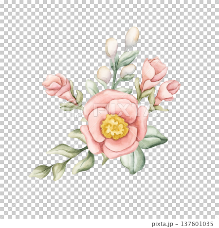 Cute Colourful Meadow Flower Bouquet. Watercolor summer spring bloom floral illustration hand painted isolated on white background for nursery baby kids design fresh prints cards posters textile Cute Colourful Meadow Flower Bouquet. Watercolor summer spring bloom floral illustration hand painted isolated on white background for nursery baby kids design fresh prints cards posters textile 137601035