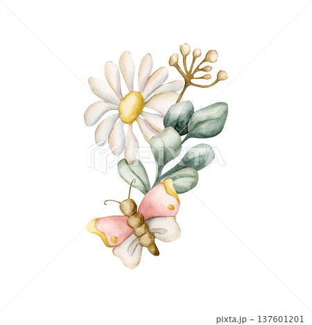 Cute Daisy Chamomile Flower Butterfly. Wildflowers Watercolor summer spring floral illustration hand painted isolated on white background for nursery baby kids design fresh prints cards poster textile Cute Daisy Chamomile Flower Butterfly. Wildflowers Watercolor summer spring floral illustration hand painted isolated on white background for nursery baby kids design fresh prints cards poster textile 137601201