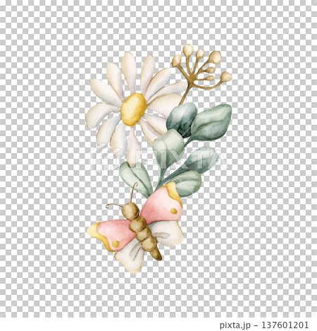 Cute Daisy Chamomile Flower Butterfly. Wildflowers Watercolor summer spring floral illustration hand painted isolated on white background for nursery baby kids design fresh prints cards poster textile Cute Daisy Chamomile Flower Butterfly. Wildflowers Watercolor summer spring floral illustration hand painted isolated on white background for nursery baby kids design fresh prints cards poster textile 137601201