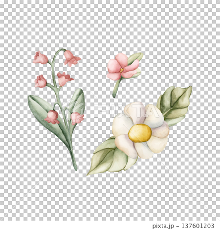 Cute Colourful Meadow Flowers. Wildflowers Watercolor summer spring bloom floral illustration hand painted isolated on white background for nursery baby kids design fresh prints cards posters textile 137601203