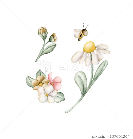 Cute Colourful Meadow Flowers Bee. Wildflowers Watercolor summer spring bloom floral illustration hand painted isolated on white background for nursery baby kids design fresh print card poster textile Cute Colourful Meadow Flowers Bee. Wildflowers Watercolor summer spring bloom floral illustration hand painted isolated on white background for nursery baby kids design fresh print card poster textile 137601204