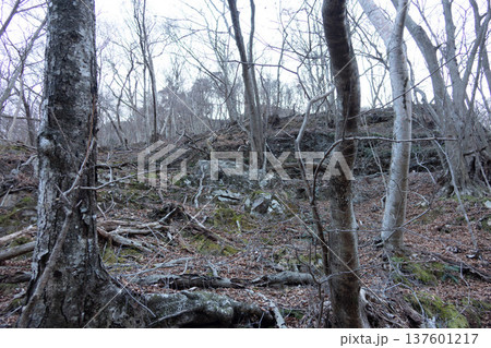 栃木県 日光国立公園 龍王峡の渓谷美 滝と川とハイキングコースの風景 栃木県 日光国立公園 龍王峡の渓谷美 滝と川とハイキングコースの風景 137601217