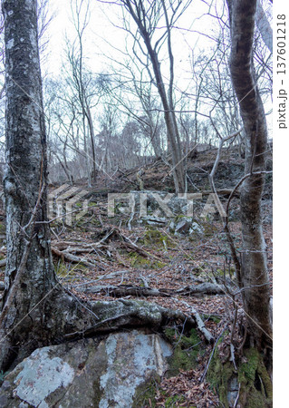 栃木県 日光国立公園 龍王峡の渓谷美 滝と川とハイキングコースの風景 137601218