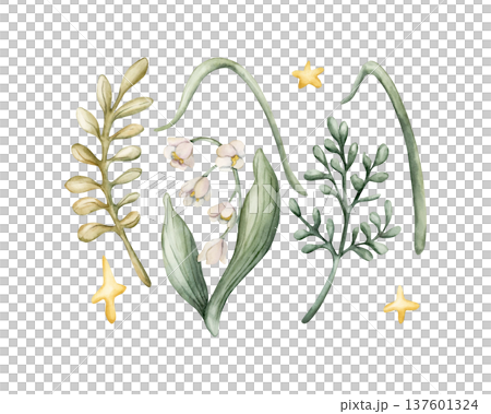 Cute Lilly of the valley flower leaves grass stars set. Watercolor summer floral forest illustration hand painted isolated on white background for nursery baby kids design fresh whimsical prints cards Cute Lilly of the valley flower leaves grass stars set. Watercolor summer floral forest illustration hand painted isolated on white background for nursery baby kids design fresh whimsical prints cards 137601324