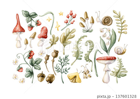 Cute Forest Plants and animals Set Mushroom Berries Snail. Watercolor summer floral illustration hand painted isolated on white background nursery baby kids design fresh whimsical prints cards textile 137601328