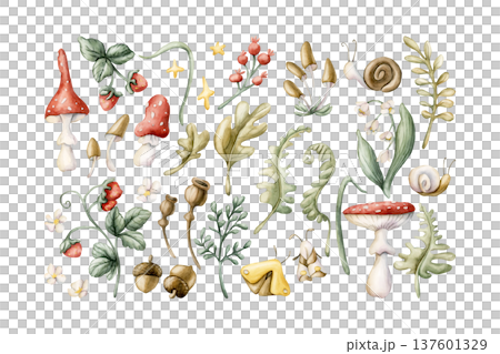 Cute Forest Plants and animals Set Mushroom Berries Snail. Watercolor summer floral illustration hand painted isolated on white background nursery baby kids design fresh whimsical prints cards textile Cute Forest Plants and animals Set Mushroom Berries Snail. Watercolor summer floral illustration hand painted isolated on white background nursery baby kids design fresh whimsical prints cards textile 137601329