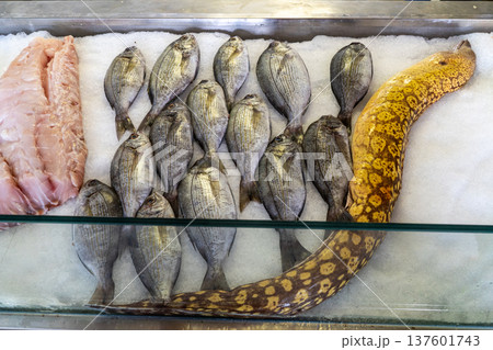 A display of fresh seafood, including whole fish and an eel, arranged over crushed ice in a showcase, ready to be sold. 137601743