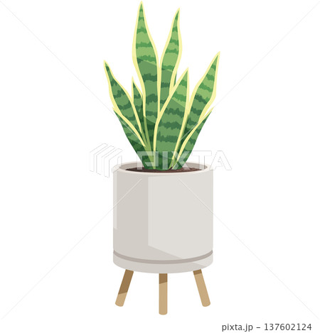 サンセベリアの鉢植え 観葉植物のシンプルなフラットイラスト 137602124