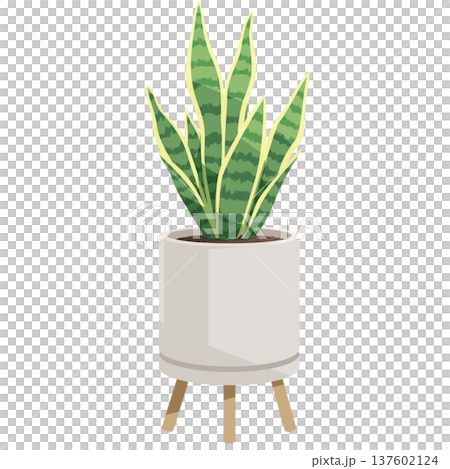 サンセベリアの鉢植え 観葉植物のシンプルなフラットイラスト 137602124
