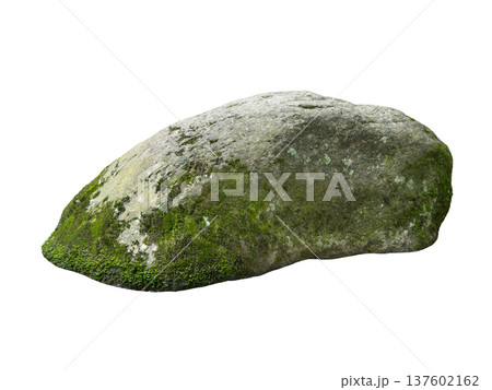 stone covered with moss isolated on white background stone covered with moss isolated on white background 137602162