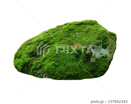 stone covered with moss isolated on white background stone covered with moss isolated on white background 137602163