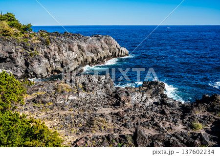 城ヶ崎海岸【静岡県伊東市】 137602234