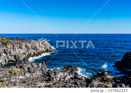 城ヶ崎海岸【静岡県伊東市】 137602237