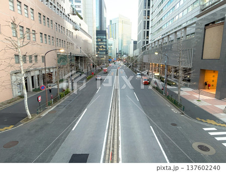歩道橋から見下ろす東京のオフィス街 歩道橋から見下ろす東京のオフィス街 137602240