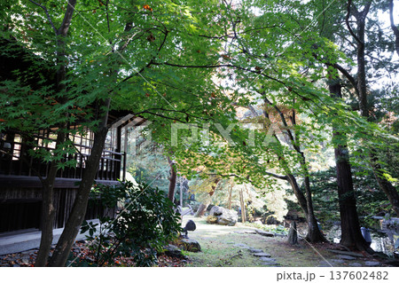 雰囲気ある昔の日本家屋の風景素材 137602482