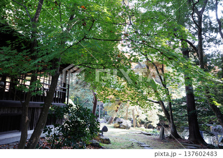 雰囲気ある昔の日本家屋の風景素材 雰囲気ある昔の日本家屋の風景素材 137602483